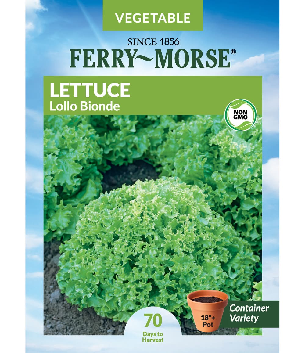 Ferry-Morse Lettuce Seeds 875 Milligram(s)