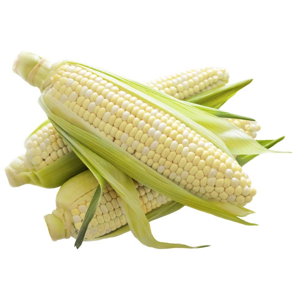 Corn