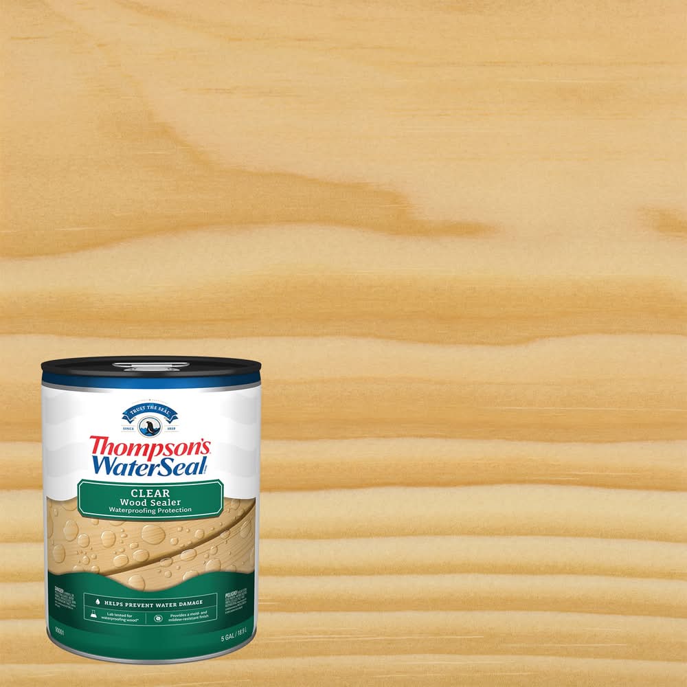 Thompson's WaterSeal Signature Series Clear Clear Exterior Wood Stain and Sealer in One ( 5-gallon )