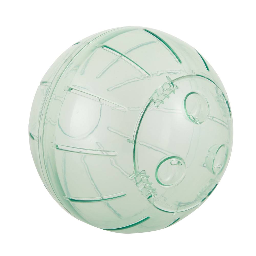 Full Cheeks Small Pet Adventure Exercise Ball (7 in)