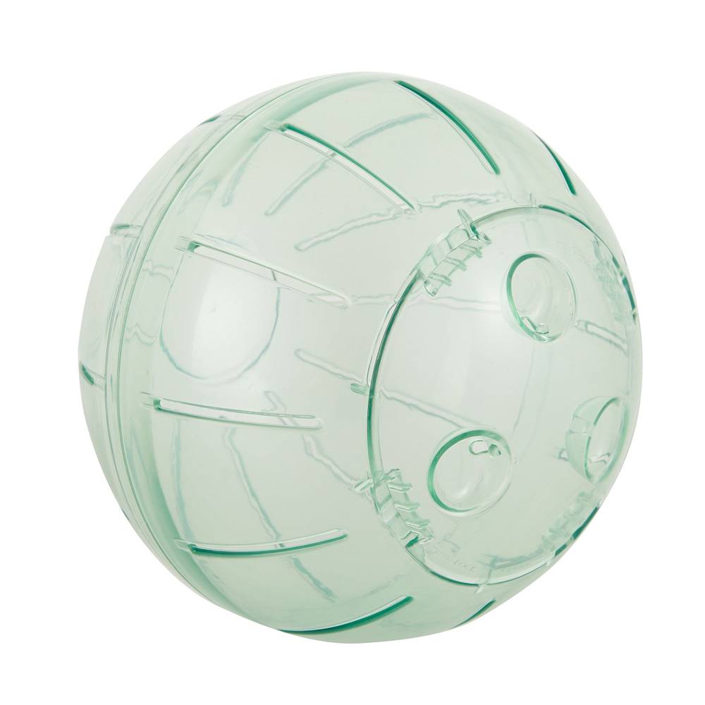 Full Cheeks Small Pet Adventure Exercise Ball, 7 In