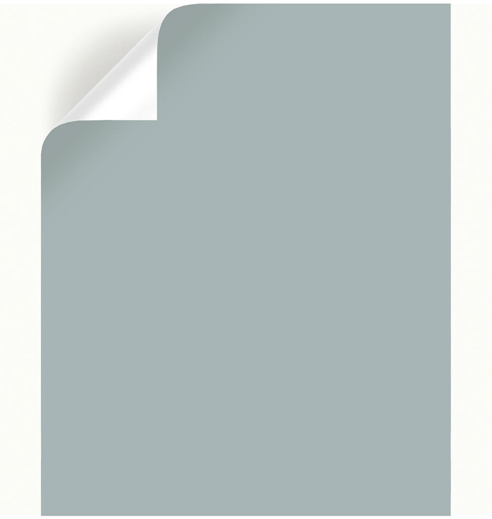 Magnolia Home By Joanna Gaines Rainy Days Peel & Stick Color Sample