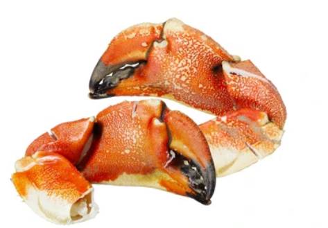 Large Stone Crab Claws - Wild, USA (Florida) (Case of 1)