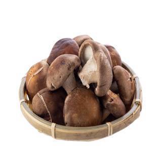 生香菇1包約300克(3032蔬菜攤/C006-1/TV121)
