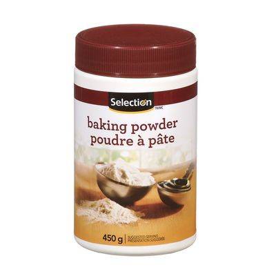 Selection Baking Powder (450 g)