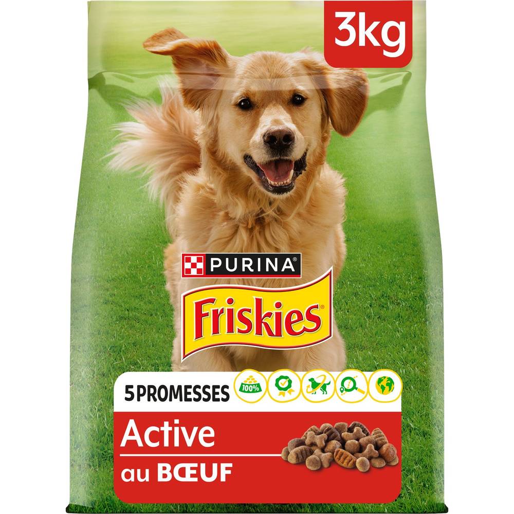 Friskies - Croquettes pour chien adulte active au bœuf (3kg)