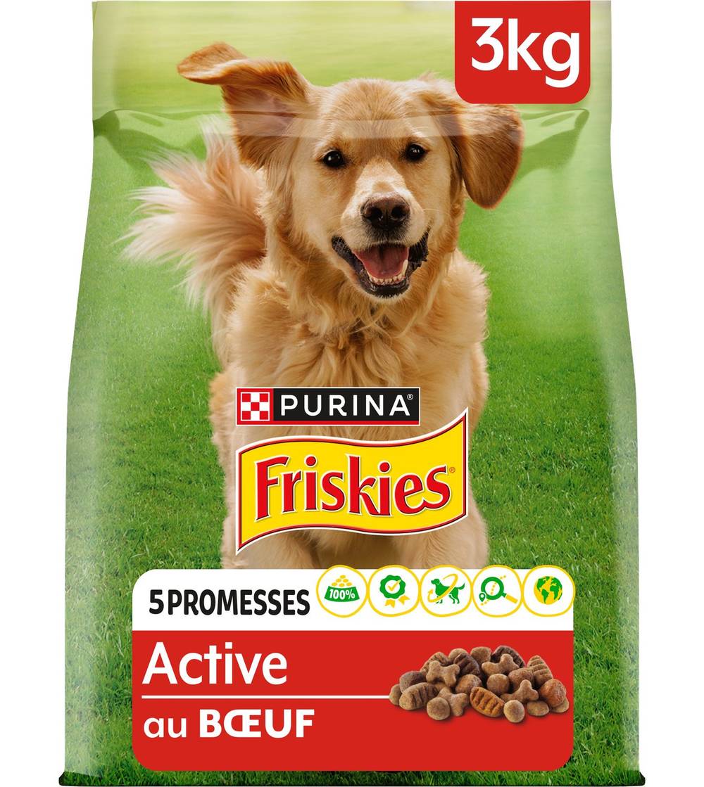 Friskies - Croquettes pour chien adulte active au bœuf