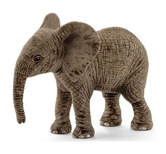 Elefante Africano Cria