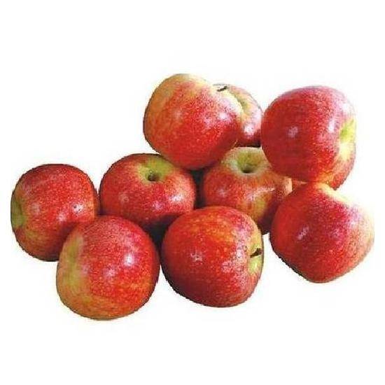 紐西蘭加拉蘋果＃１２０ 約135g