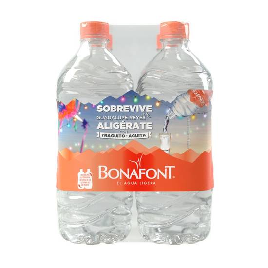 Agua Bonafont Natural, 1 l.