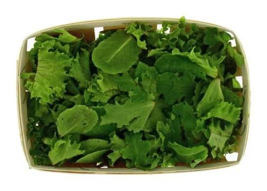 Salade mélange jeunes pousses