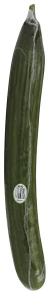 English Cucumber