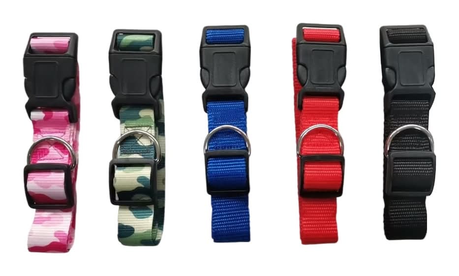 Family Pet Fashion Dog Collars, XL, Assorted (5 pack)