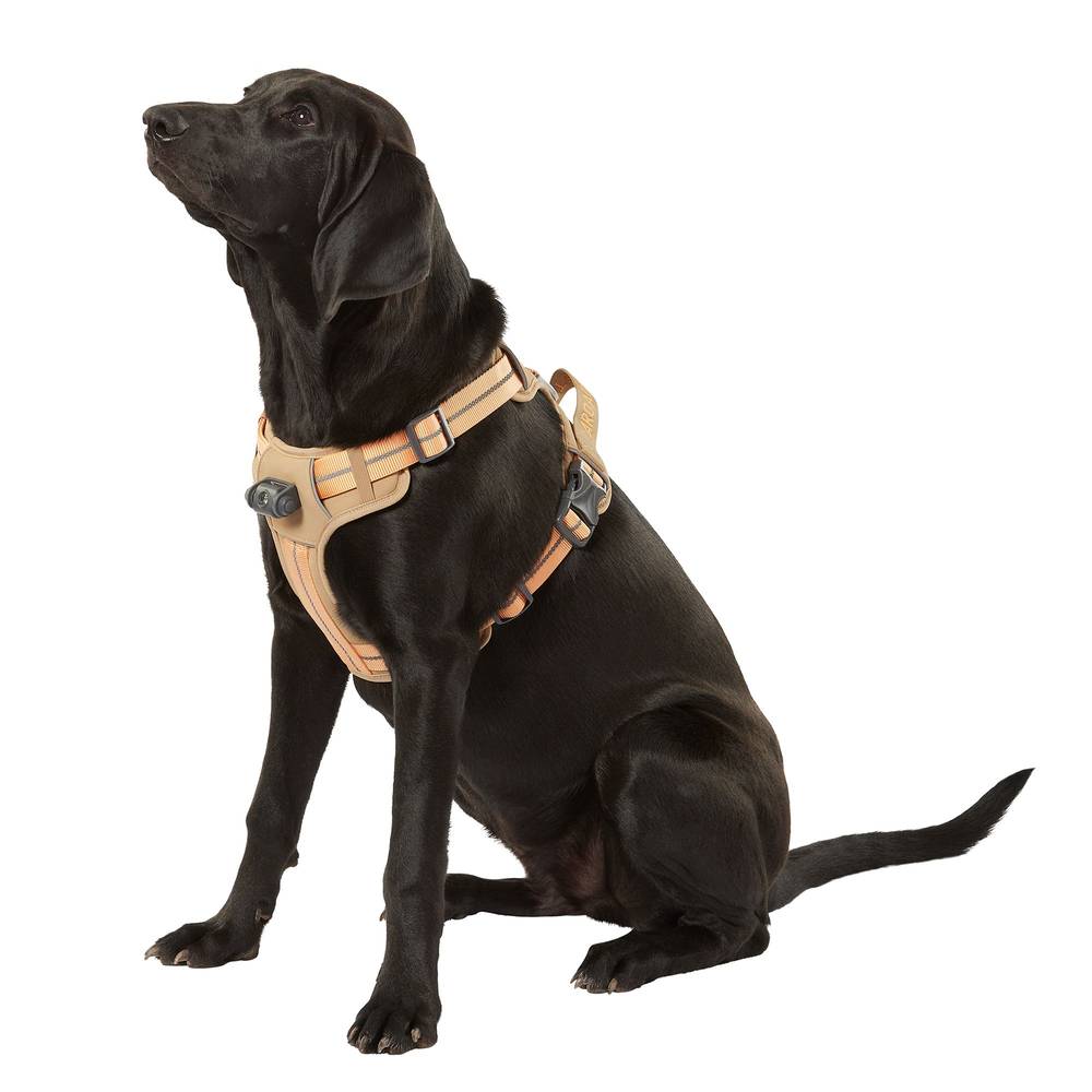 Arcadia Trail ™ LED Headlight Dog Harness (Color: Tan, Size: X Large)