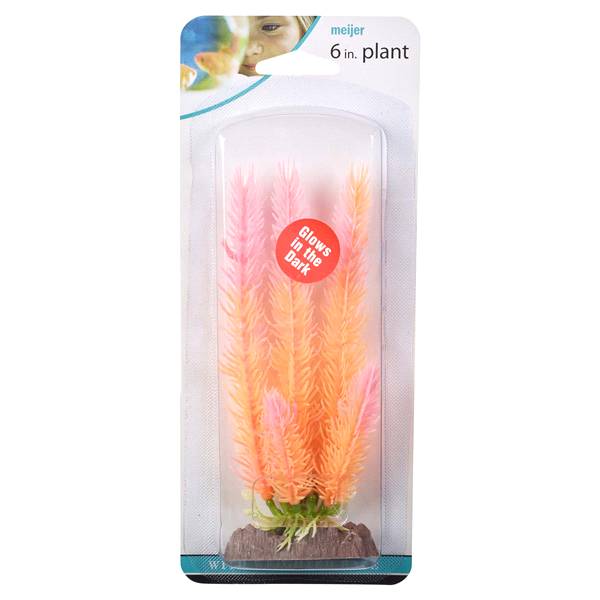 Meijer Glow in the Dark Plant (1 ct)