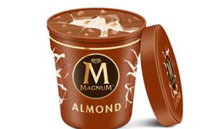 Magnum Pint Almond 450ml