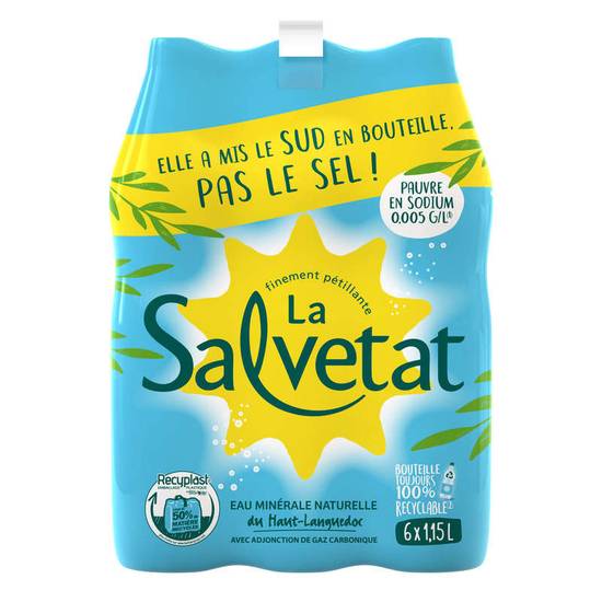 Salvetat eau pétillante 115 cl