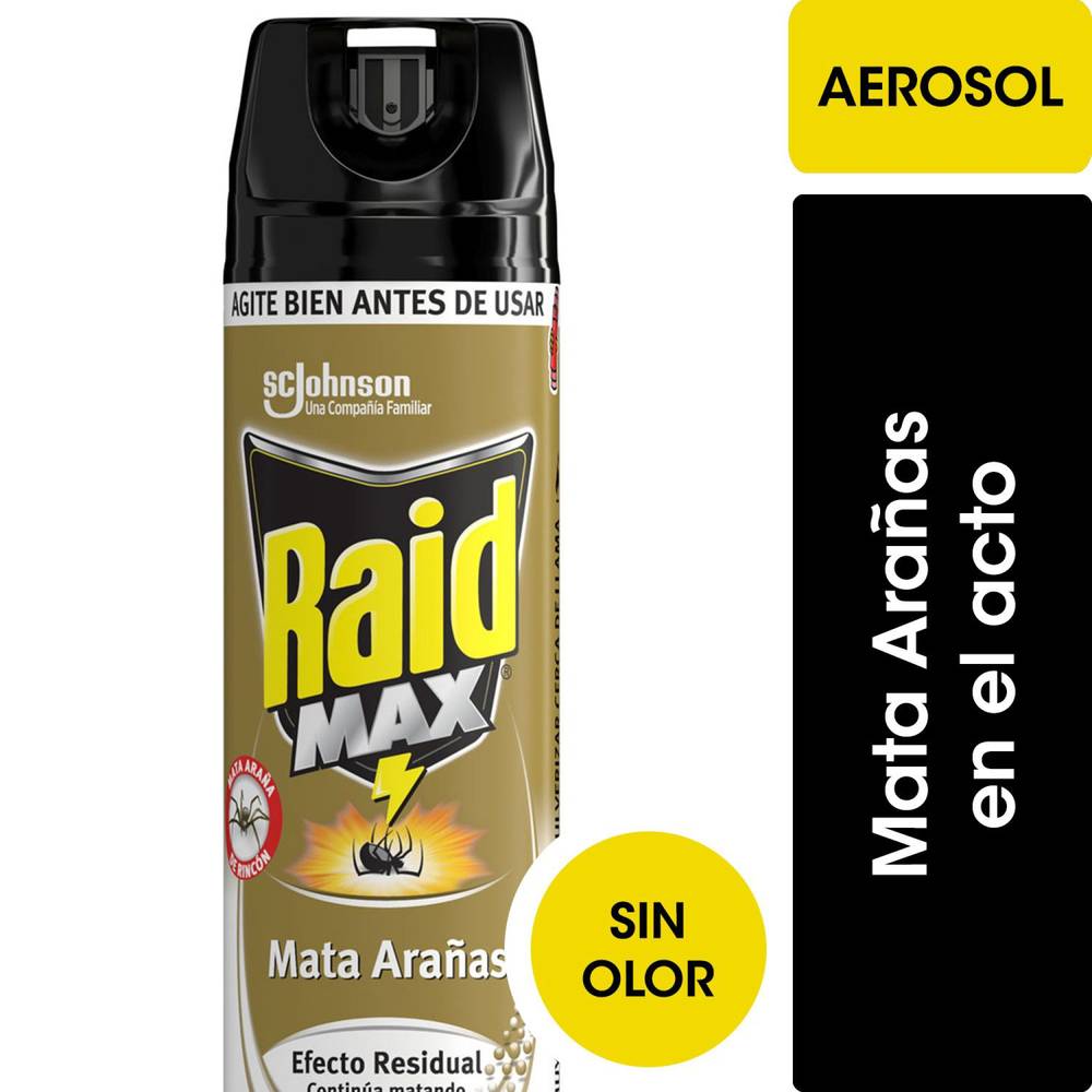 Raid · Insecticida mata arañas sin aromatizantes (360 ml)