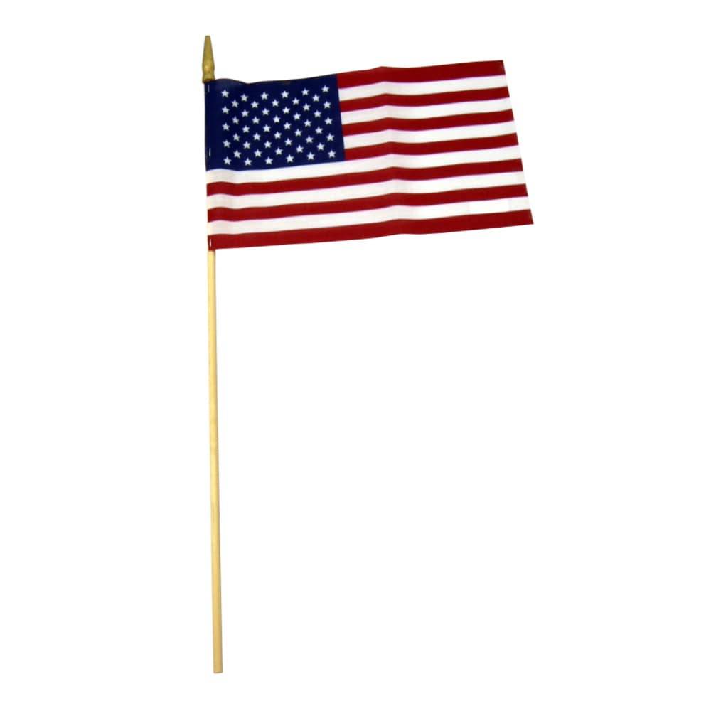 8-In X 12-in American Hand Flag