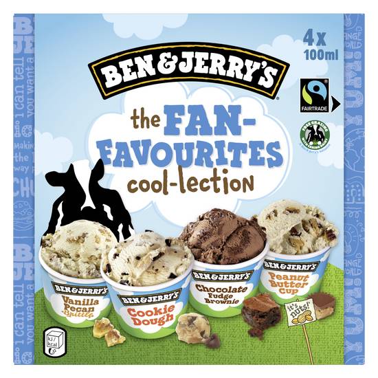 Ben & Jerry's - Crème glacée vanille the fan-favourites cool-lection (4 pièces, 100 ml)