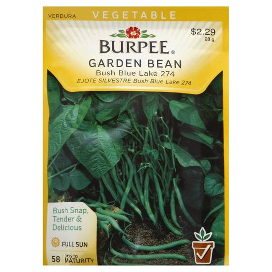 Burpee Bush Blue Lake 274 Garden Bean Seeds