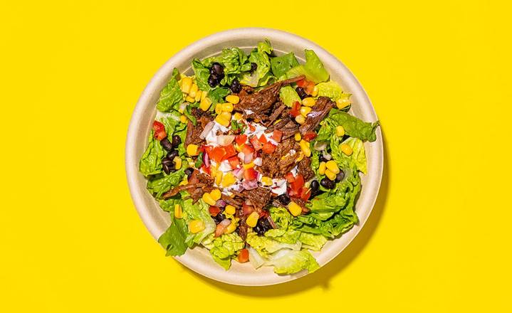 Barbacoa Salad