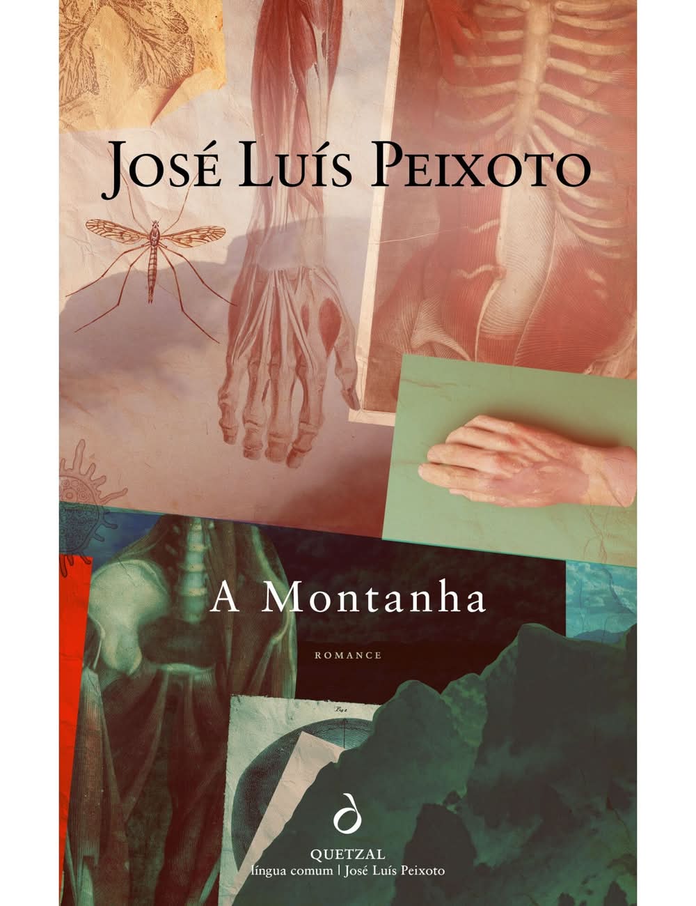 A Montanha de José Luís Peixoto