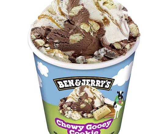 Ben & Jerrys Chewy Gooey Cookie Ice Cream 458ml