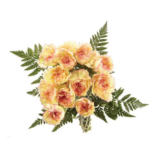 Carnation Bouquet (12 stems)