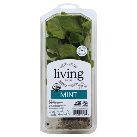 North Shore Living Organic Mint (1 ct)