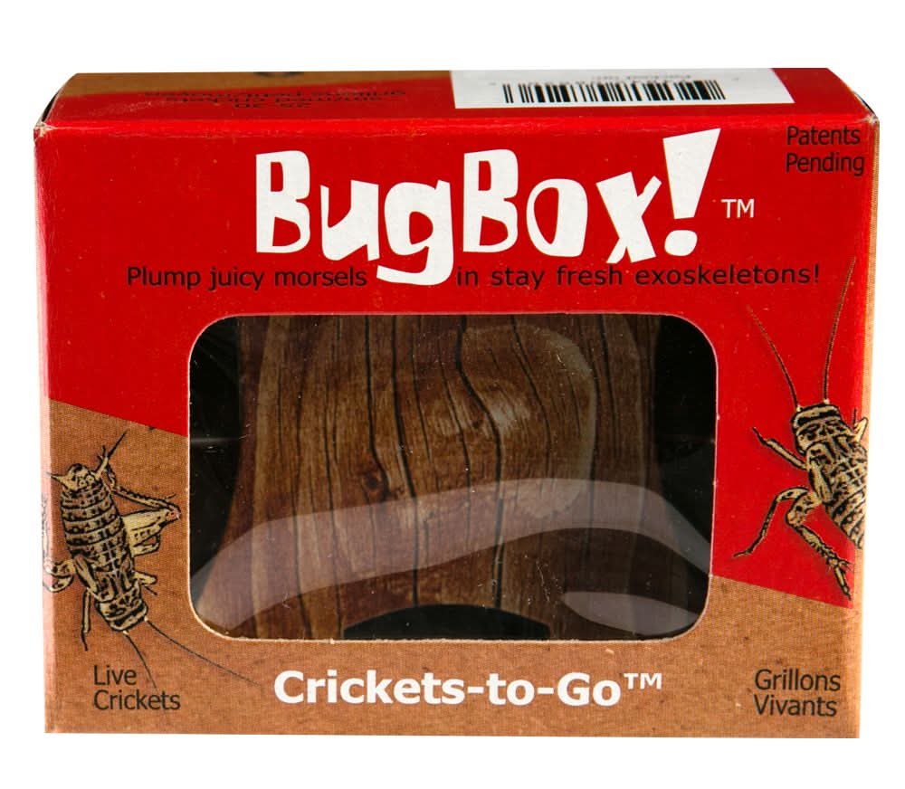 BugBox!™ Live Crickets (Color: Assorted, Size: Small/Medium)