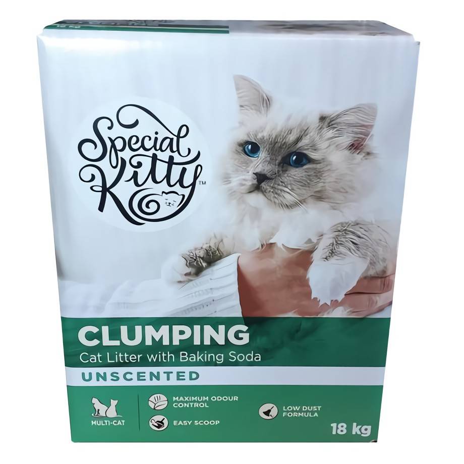Special Kitty Clumping Cat Litter With Baking Soda Unscented Delivery