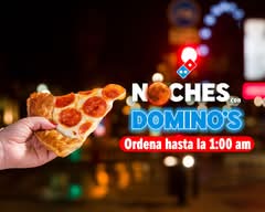 Domino's Aguascalientes Inegi