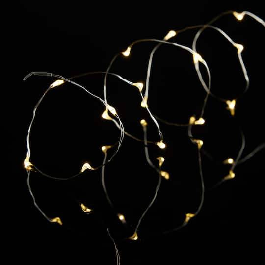 Ashland Led String Lights (warm white)