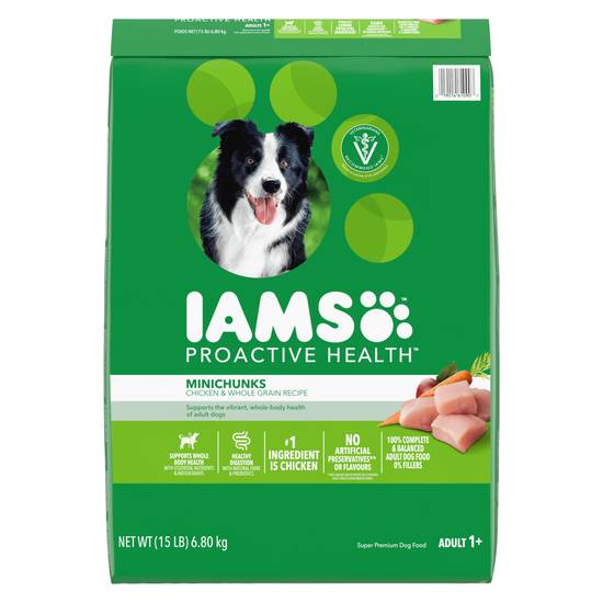 Iams kitten best sale food petsmart