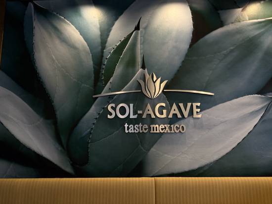 Sol agave (American Fork)