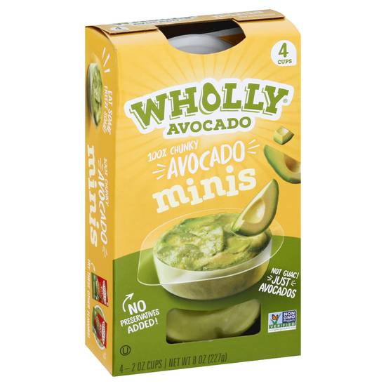 Wholly Minis Chunky Avocado Dip