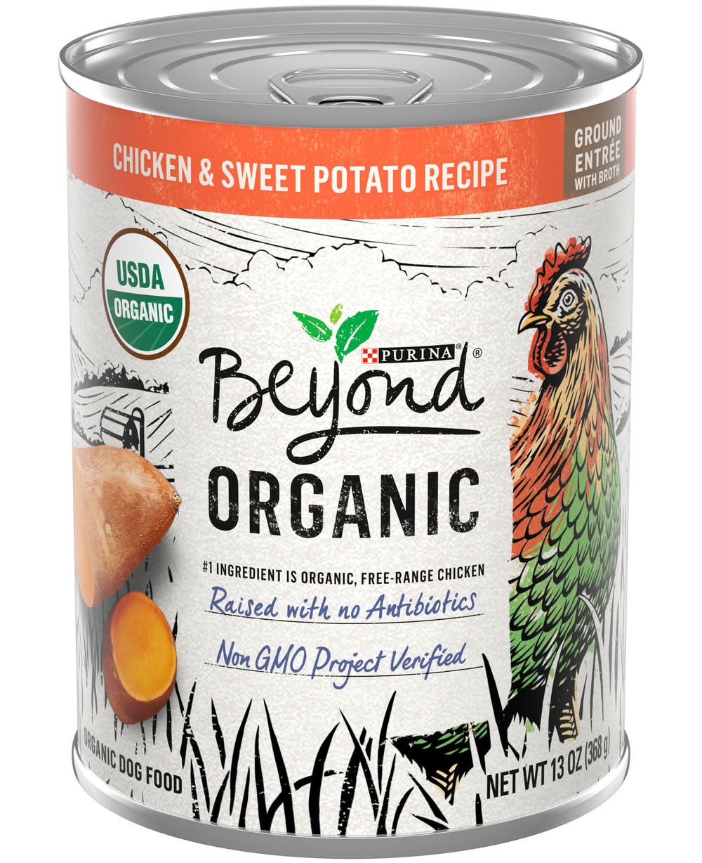 Beyond Organic Chicken & Sweet Potato Dog Food (13 oz)