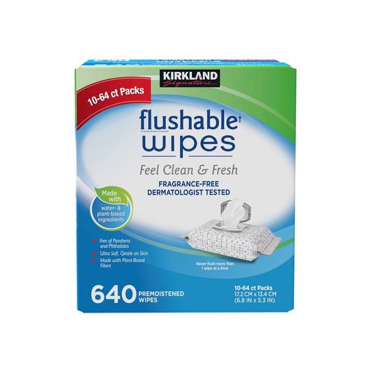 Kirkland Signature Pre Moistened Flushable Wipes Fragrance Free (640 wipes)