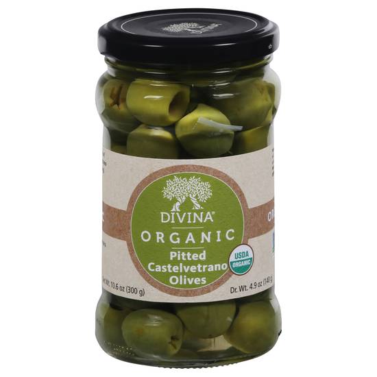 Divina Organic Castelvetrano Pitted Olives (300g jar)