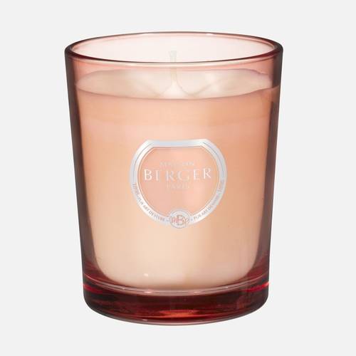 Riviera Scented Candle by Maison Berger Paris