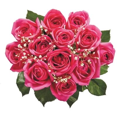 President's Choice Dozen Roses In Assorted Colours 1.0 EA
