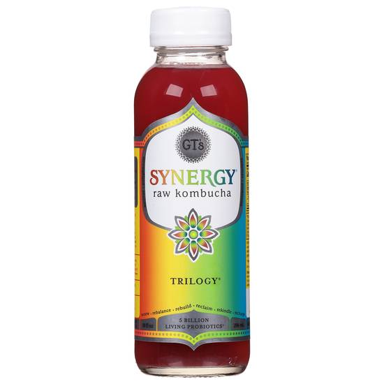 Gt's Synergy Trilogy Kombucha Drink (16oz plastic bottle)