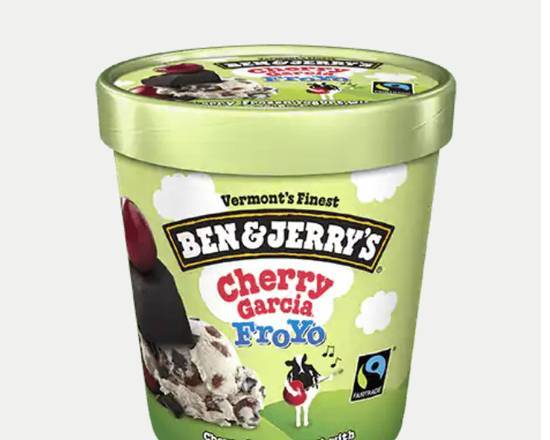 Cherry Garcia Frozen Yogurt