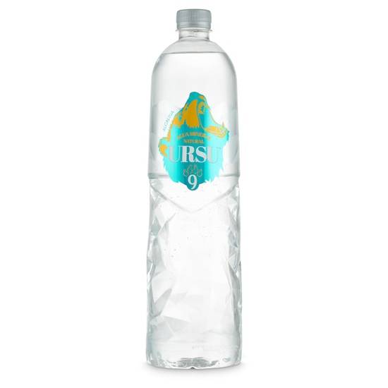 Agua mineral natural alcalina ph9 Ursu9 botella 1.5 l