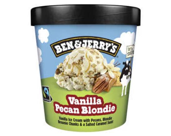 Ben & Jerry's Vanilla Pecan Blondie 414g