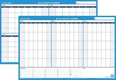 AT-A-GLANCE 90/120 Day Planner 24 x 36 Dry Erase Wall Calendar, Reversible, Blue (PM239P-28)