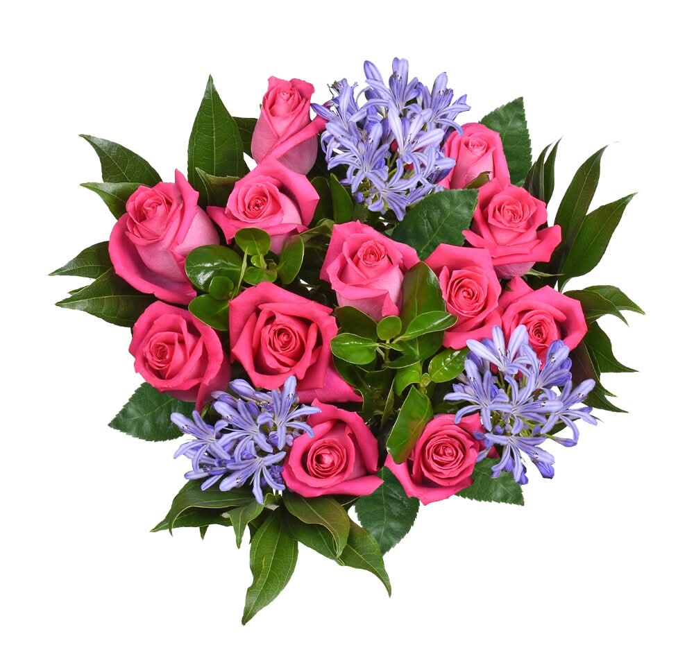 Bloom Haus Bouquet Hot Pink Roses