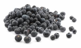 Arándanos Carrefour 500 g