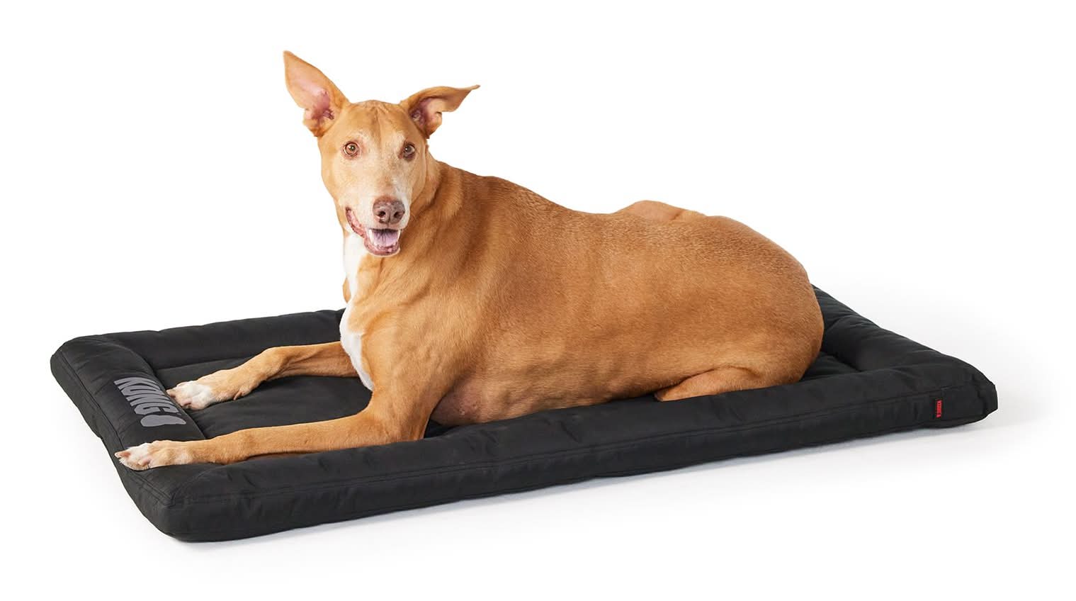 KONG® Durable Crate Dog Mat (Color: Black, Size: 48\"L X 30\"W)
